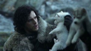 jon-snow-ghost-puppy
