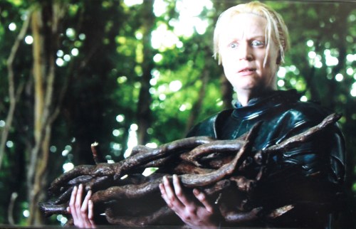 Yet another reason to love Gwendolen Christie as Brienne: this utterly brilliant "WTF?" face.