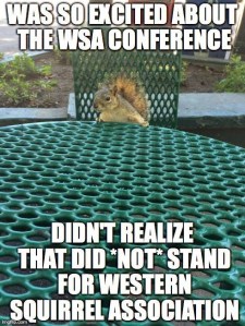 WSA Squirrel Association