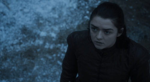 arya-shade