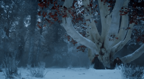 bran-heart_tree