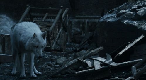 Screen Shot 2019-05-08 at 8.11.44 PM.png